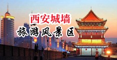 男人插女人下面一级中国陕西-西安城墙旅游风景区
