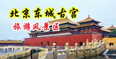 美女衤被操网站欧美中国北京-东城古宫旅游风景区